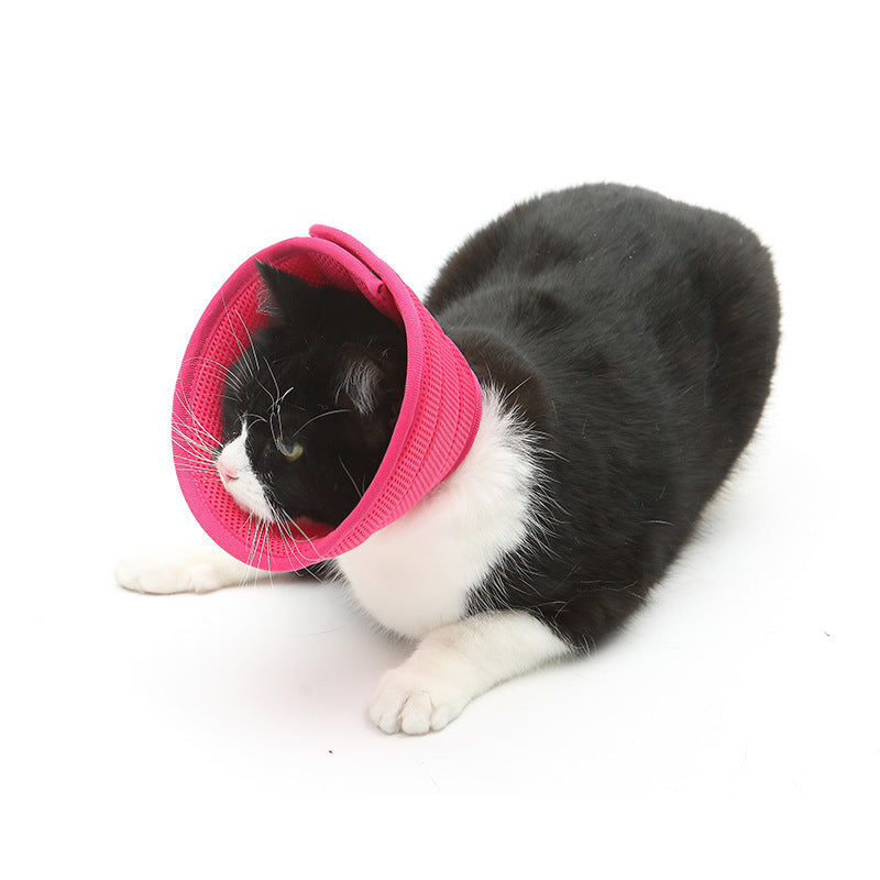 Collier anti-morsure pour chien et chat, collier de récupération médical pour animaux de compagnie, housse de protection transparente pour animaux de compagnie, collier élisabéthain circulaire pour fournitures pour animaux de compagnie